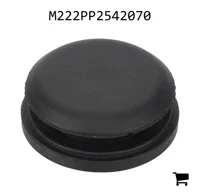 AGCO M222PP2542070 Заглушка