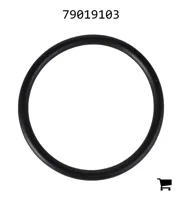 AGCO 79019103 Уплотнительное кольцо