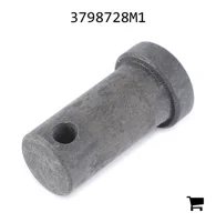 AGCO 3798728M1 Палец вилки