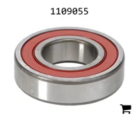 AGCO 1109055 Цилиндрический шариковый подшипник