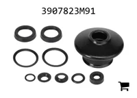 AGCO 3907823M91 Ремкомплект