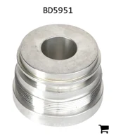 AGCO BD5951 Сальник