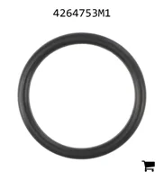 AGCO 4264753M1 Уплотнительное кольцо