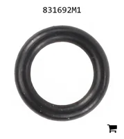 AGCO 831692M1 Уплотнительное кольцо