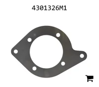 AGCO 4301326M1 Шайба