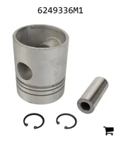 AGCO 6249336M1 Поршень