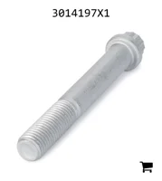 AGCO 3014197X1 Винт с 12-гранной головкой с фланцем