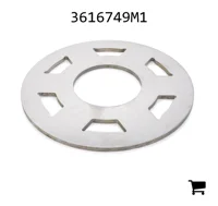 AGCO 3616749M1 Опорная пластина