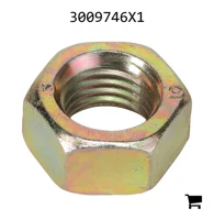 AGCO 3009746X1 Шестигранная гайка