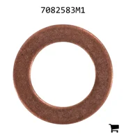 AGCO 7082583M1 Шайба