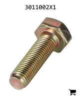 AGCO 3011002X1 Болт с шестигранной головкой