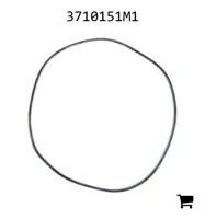 AGCO 3710151M1 Прокладка крышки головки цилиндра