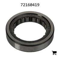 AGCO 72160419 Цилиндрический роликовый радиальный подшипник