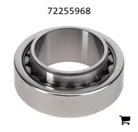 AGCO 72255968 Подшипник