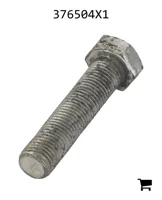 AGCO 376504X1 Болт