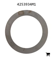 AGCO 4253934M1 Шайба