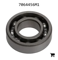 AGCO 7064456M1 Шариковый подшипник
