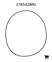 AGCO 3785428M1 Уплотнительное кольцо