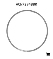 AGCO ACW7294880 Прокладка