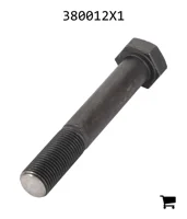 AGCO 380012X1 Болт