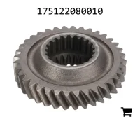 AGCO 175122080010 Цилиндрическая шестерня