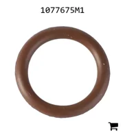 AGCO 1077675M1 Уплотнительное кольцо