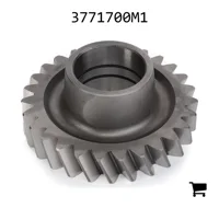 AGCO 3771700M1 Шестерня