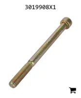 AGCO 3019908X1 Винт с внутренним шестигранником