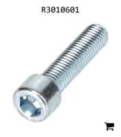 AGCO R3010601 Винт