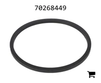 AGCO 70268449 Кольцо
