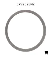 AGCO 3792328M2 Шайба