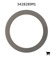 AGCO 3428289M1 Шайба