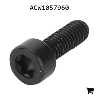 AGCO ACW1057960 Установочный винт с шестигранной головкой