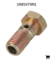 AGCO 3905979M1 Болт банджо