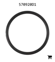 AGCO 570920D1 Уплотнительное кольцо