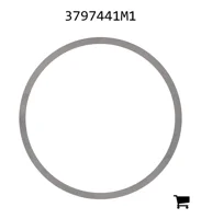 AGCO 3797441M1 Регулировочная шайба