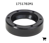 AGCO 1751702M1 Уплотнение