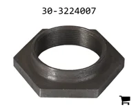 AGCO 30-3224007 Гайка