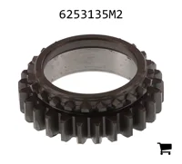 AGCO 6253135M2 Шестерня