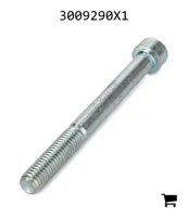 AGCO 3009290X1 Винт с внутренним шестигранником
