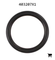 AGCO 403207X1 Уплотнительное кольцо