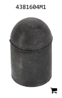 AGCO 4381604M1 Крышка