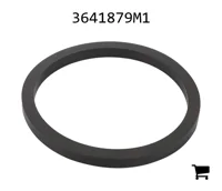 AGCO 3641879M1 Уплотнительное кольцо