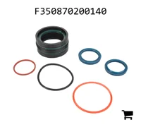 AGCO F350870200140 Комплект уплотнений гидроцилиндра навески