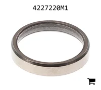 AGCO 4227220M1 Седло клапана