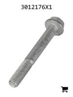 AGCO 3012176X1 Болт с шестигранной головкой и фланцем