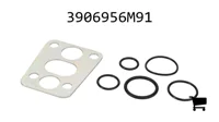 AGCO 3906956M91 Комплект соединений и прокладок