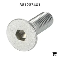 AGCO 3012034X1 Винт с плоской головкой и внутренним шестигранником
