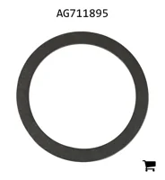 AGCO AG711895 Шайба
