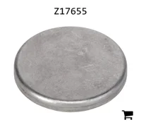 AGCO Z17655 Заглушка